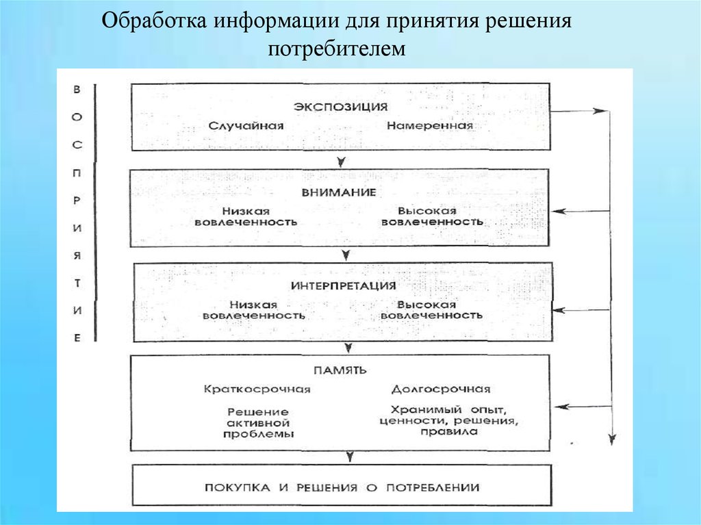 Потребитель решения. Модель обработки информации потребителем. Процесс обработки информации потребителем. Обработка информации и принятие решений. Обработка информации для принятия решений о покупке.