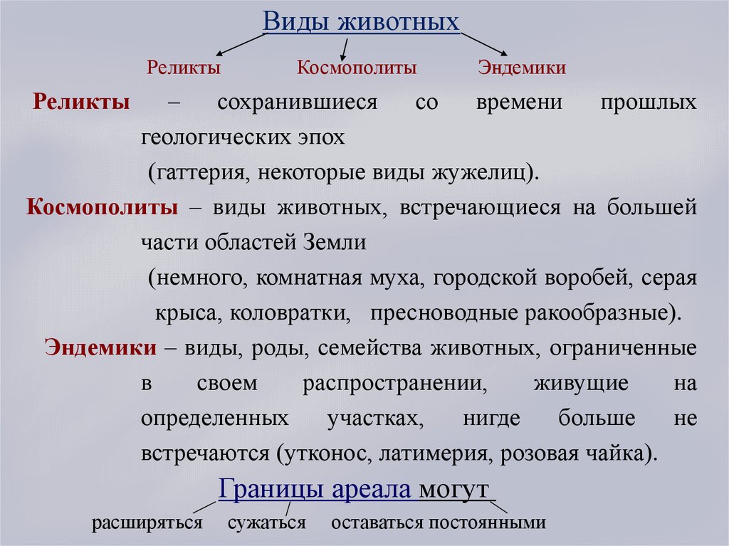 Ареалы обитания миграции закономерности размещения животных презентация