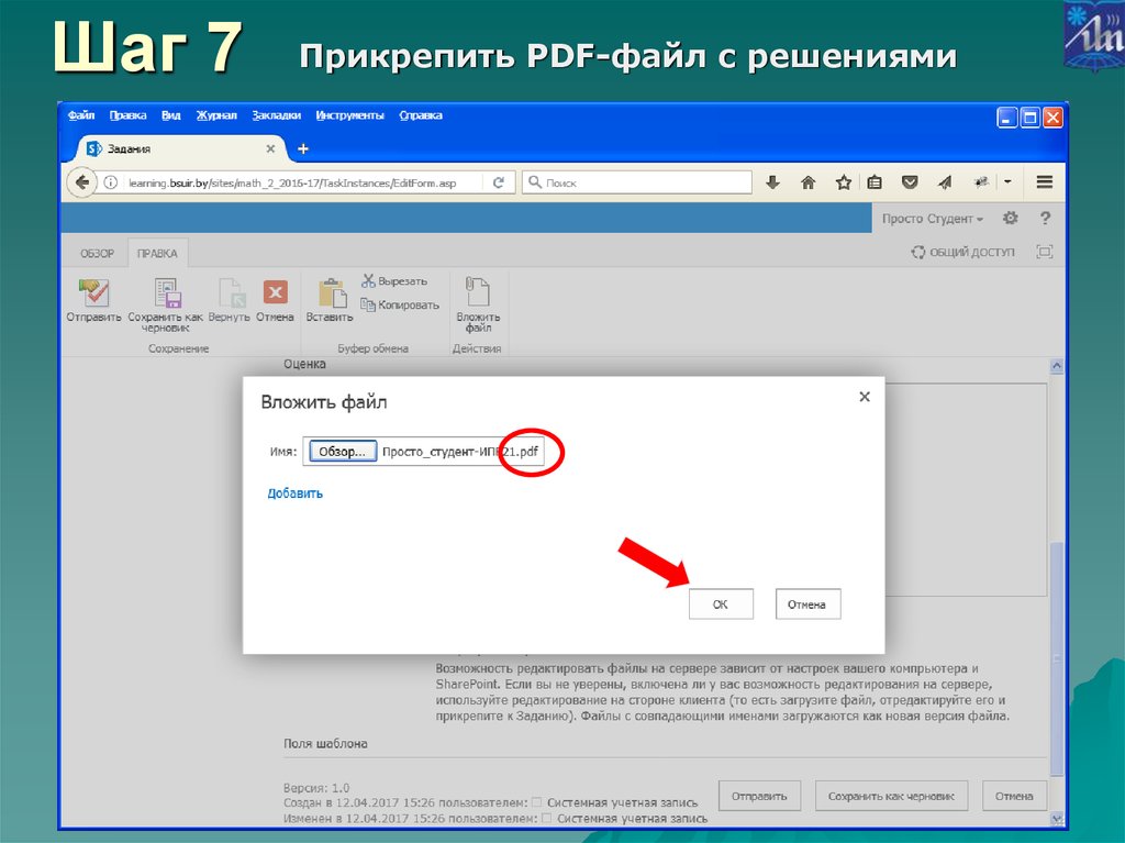 Manuale Asp Pdf