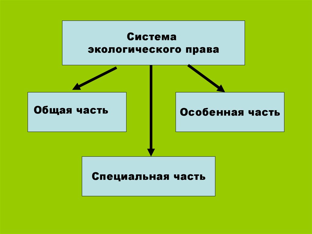 Структура экологического права схема