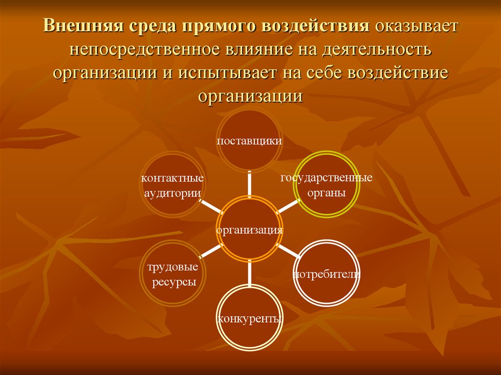 Которые оказывают влияние на деятельность. Внешняя среда прямого воздействия. Среда прямого воздействия организации. Среда прямого воздействия внешней среды. Внешняя среда прямого воздействия на организацию это.