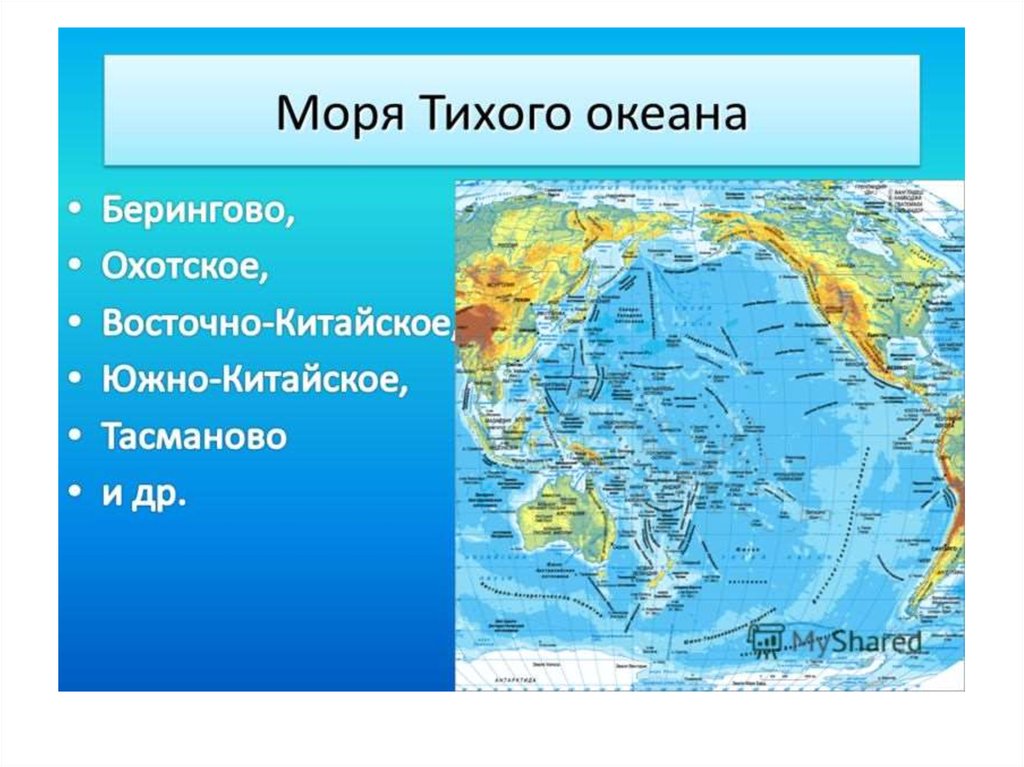 В тихий океан входит. Моря Тихого океана. Какие моря в тихом океане. Назовите моря Тихого океана. Моря относящиеся к тихому океану.