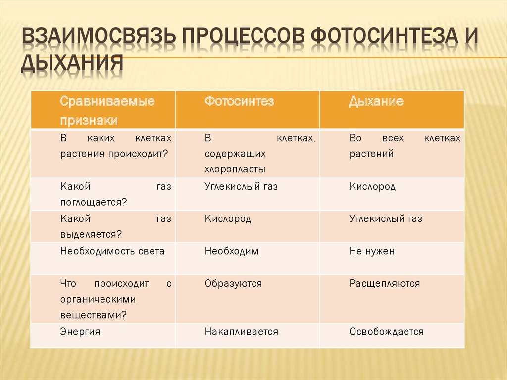 Заполните схему изменения веществ происходящих в ходе процесса дыхания