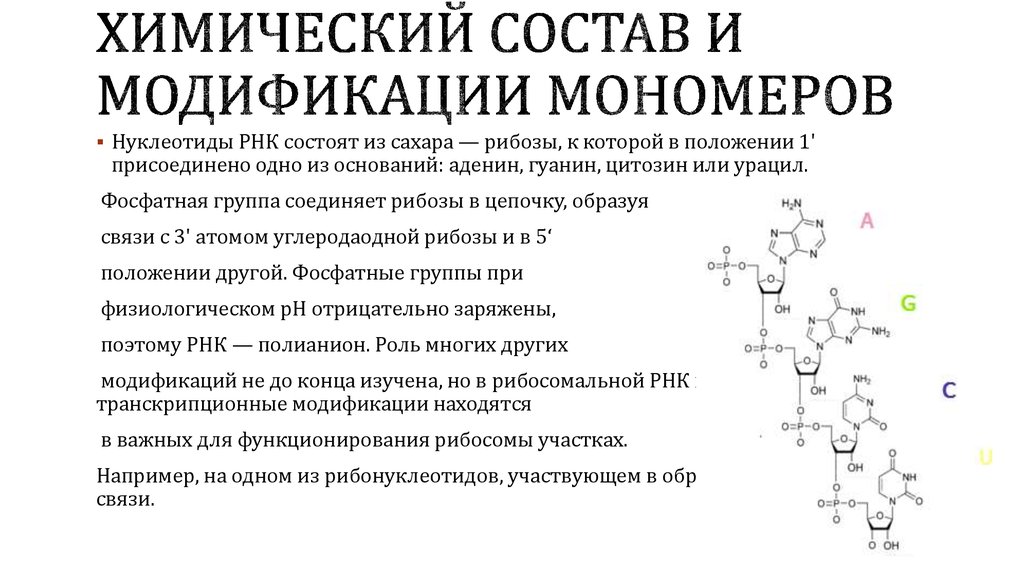 Химический состав. Мономеры химический состав. Химический состав и модификации мономеров РНК. Какие элементы могут входить в состав мономеров РНК?. Состав Винета химический состав.