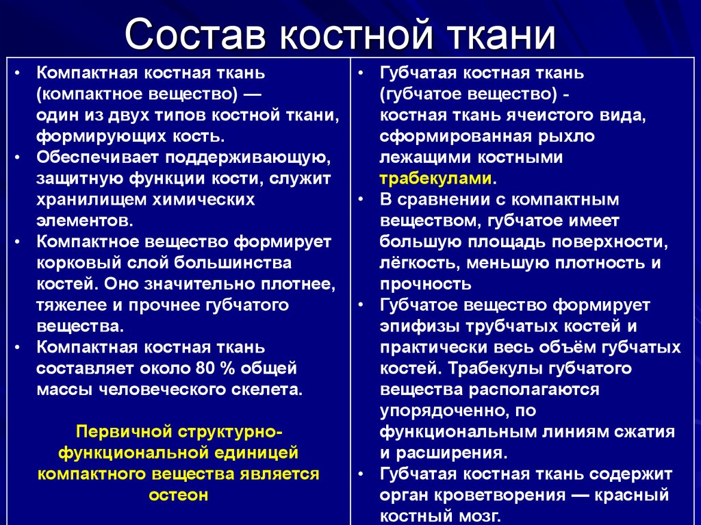 Состав костной ткани