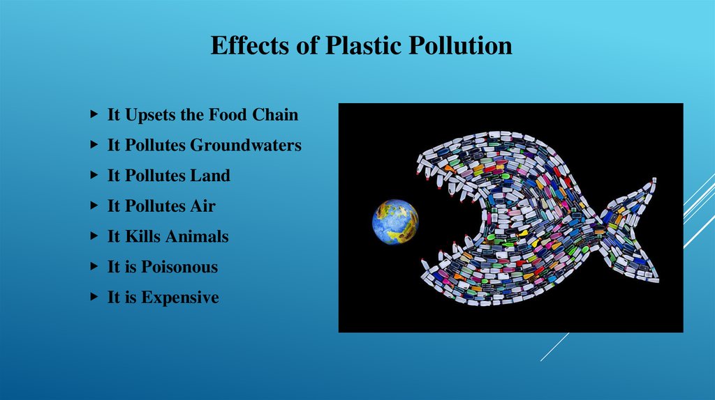 Plastic pollution, a part of our ecological footprint online presentation