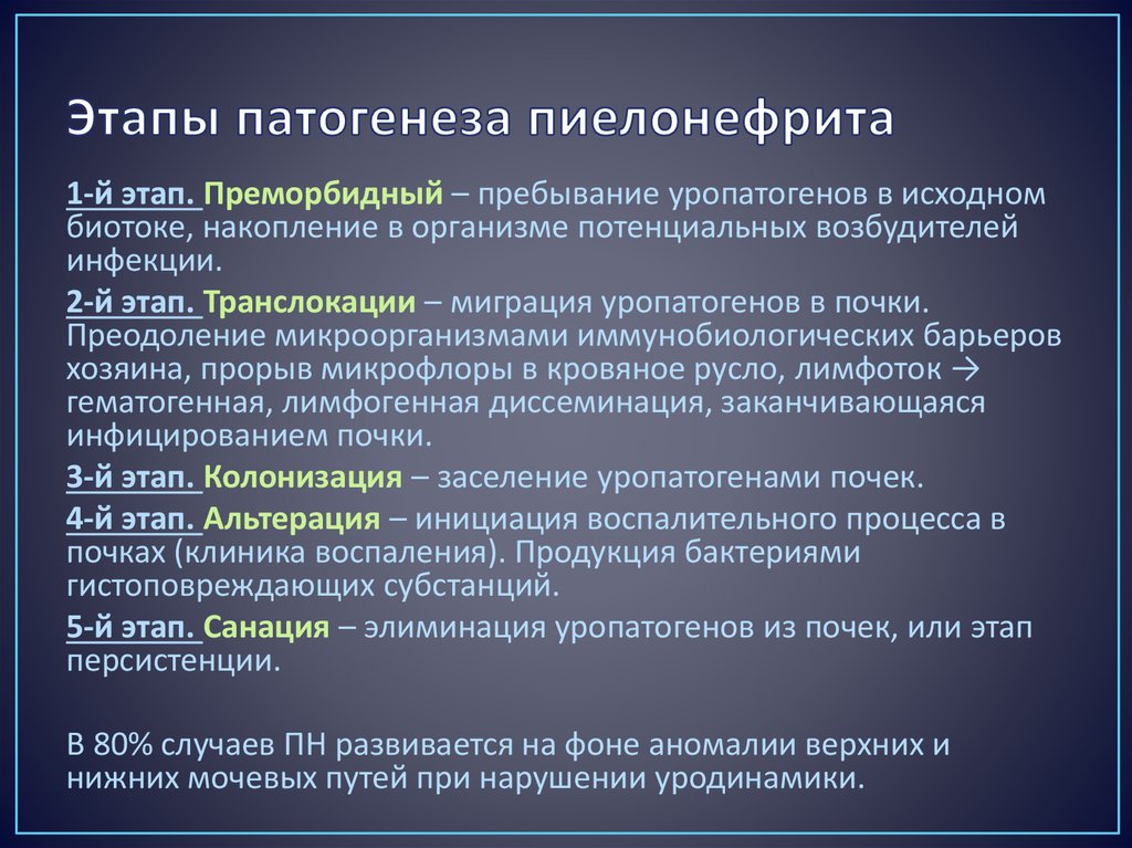 Схема патогенеза пиелонефрита