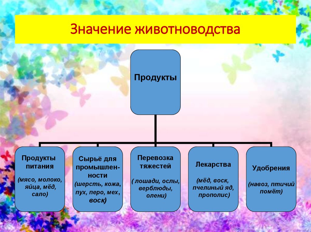 Направления животноводства схема