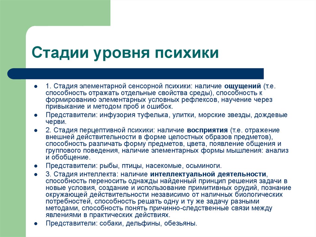 Уровни развития психики. Уровни становления психики. Стадии формирования психики. Стадии развития психики.