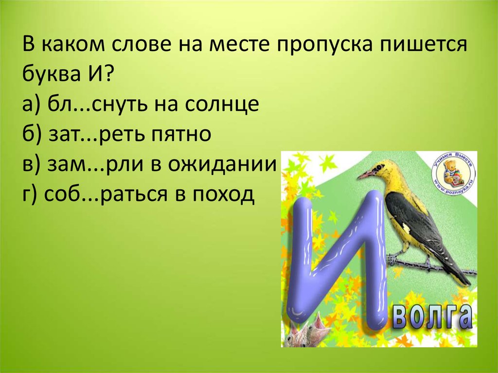 Почему в слове пишется буква а. Солнце с какой буквы писать. Названия птиц с какой буквы пишется. Почему слово солнце пишется с буквой л.