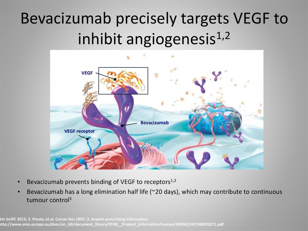 Current Treatment Strategies in Colorectal Cancer