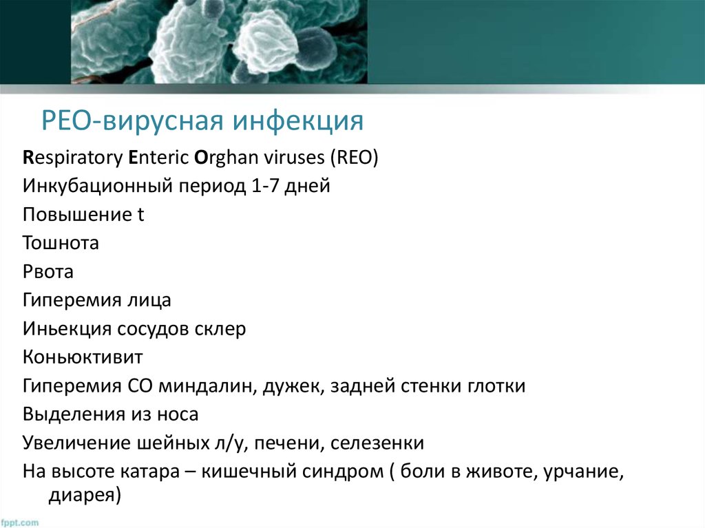 РЕО-вирусная инфекция