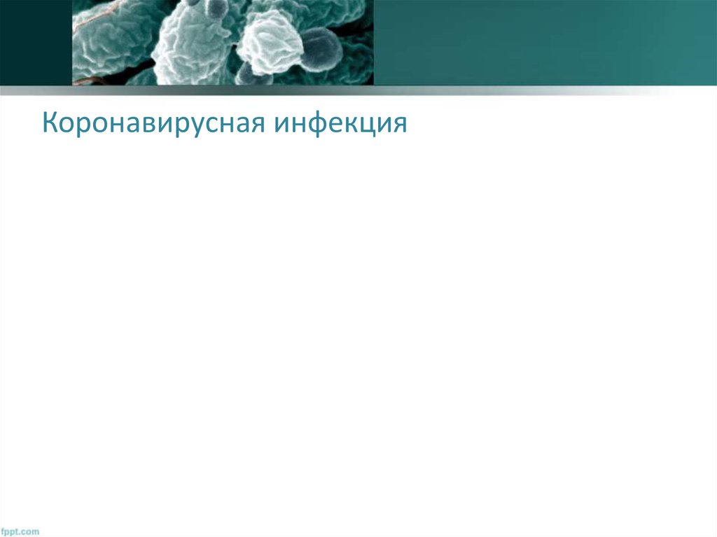 Коронавирусная инфекция