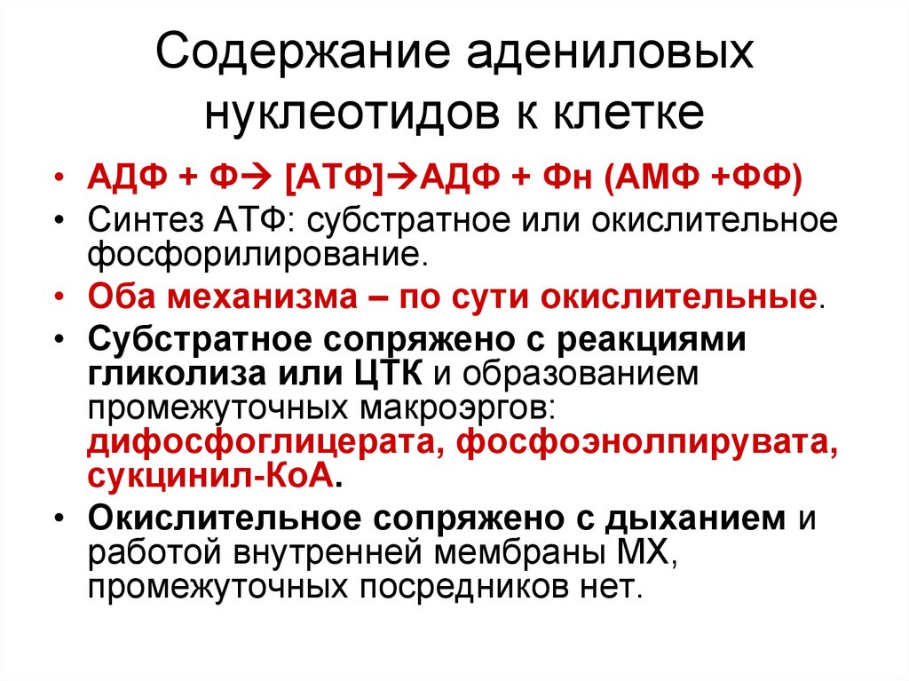 Адениловый нуклеотид содержит. АДФ ФН. Адениловая система биохимия. Анаболизм АТФ НАДФ пдф амф. Адениловый нуклеотид.