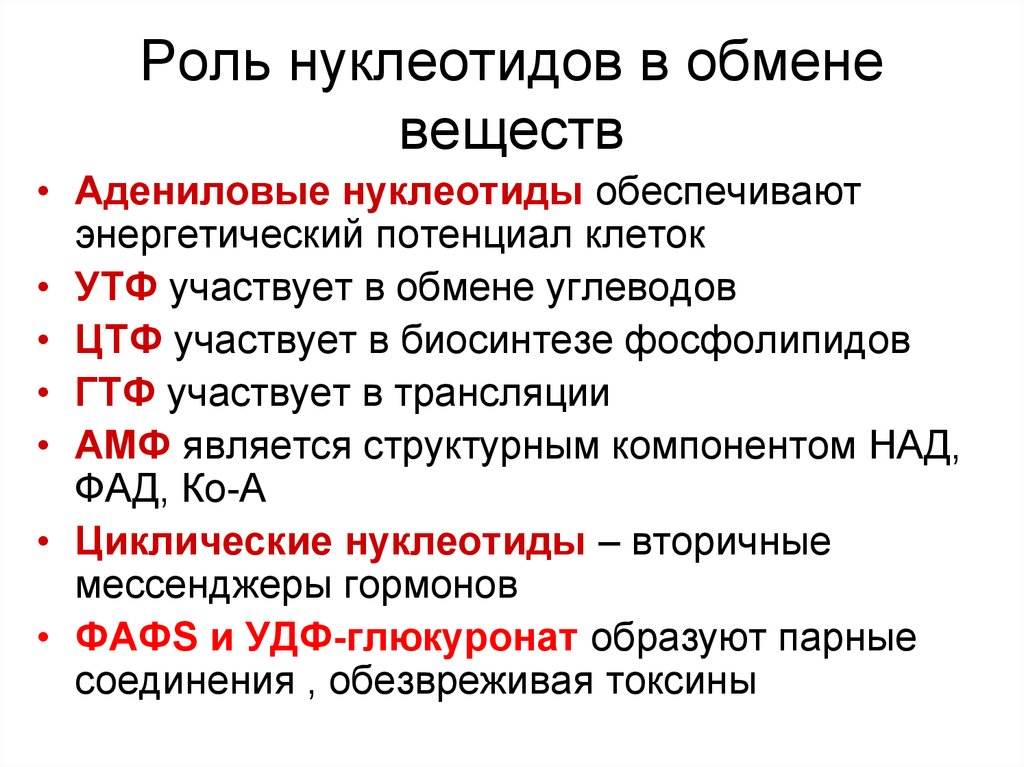 Роль 10. Функции нуклеотидов. Роль нуклеотидов в обмене веществ. Функции нуклеотидов биохимия. Функции свободных нуклеотидов биохимия.