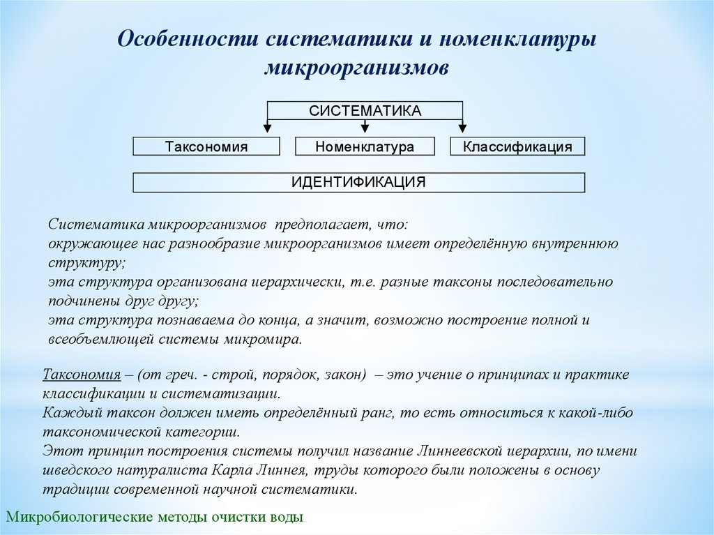 Классификация практик. Систематика и номенклатура микробов. Таксономия и систематика микроорганизмов. Таксономия и номенклатура. Систематика, таксономия номенклатура.