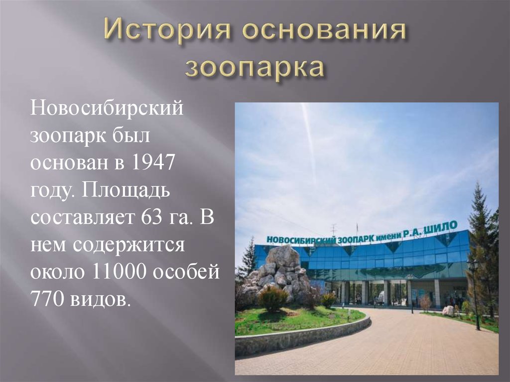 Зоопарк новосибирск пушкинская карта