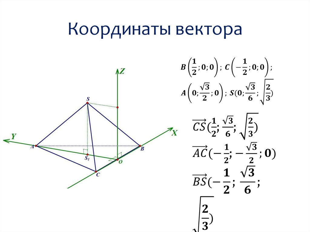 Вектор с координатами 2 3 4