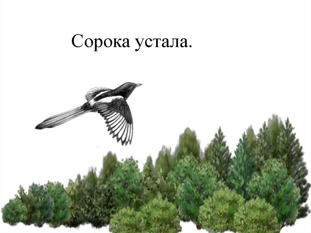 Сорок ответить. Сорока летит. Сорока улетает. Сорока улетает на Юг. Ворона летит над крышей.