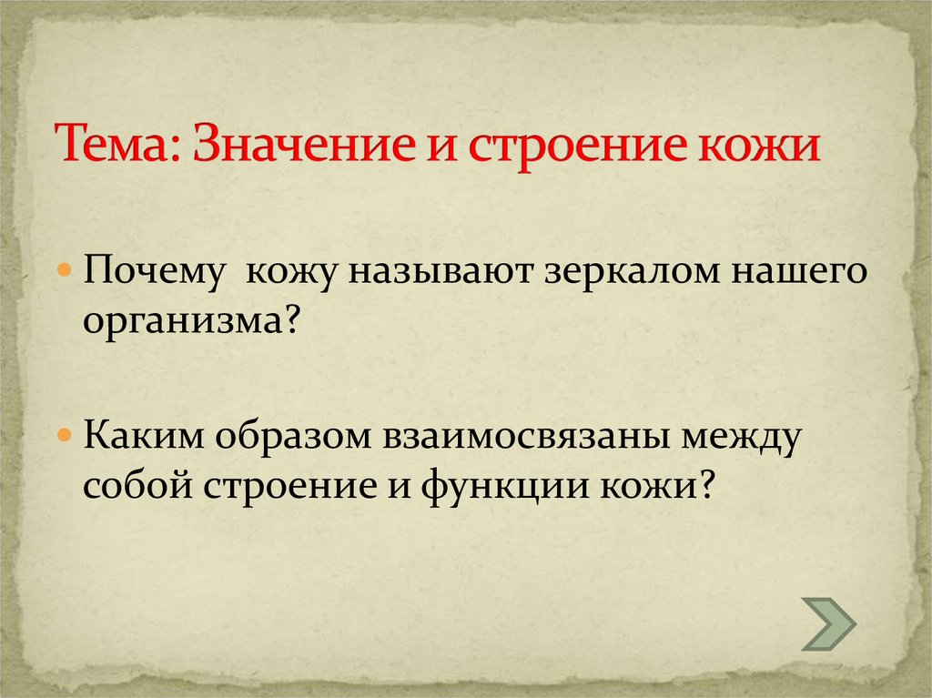 Кожа эпидермис дерма гиподерма. Структура клеток кожи человека. Эпидермис дерма подкожная клетчатка. Строение кожи эпидермис дерма гиподерма. Функции слоев эпидермиса кожи.