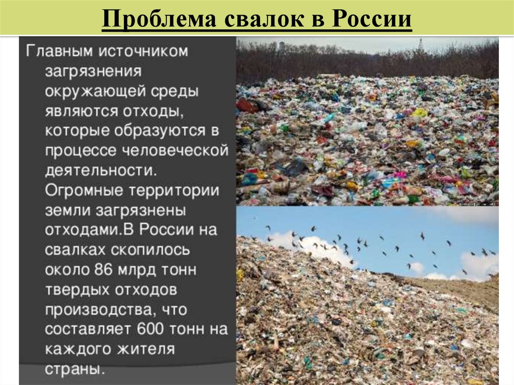 Основные проблемы отходов. Загрязнение отходов пути решения. Причины загрязнения природы. Воздействие свалок на окружающую среду. Загрязнение среды мусором.