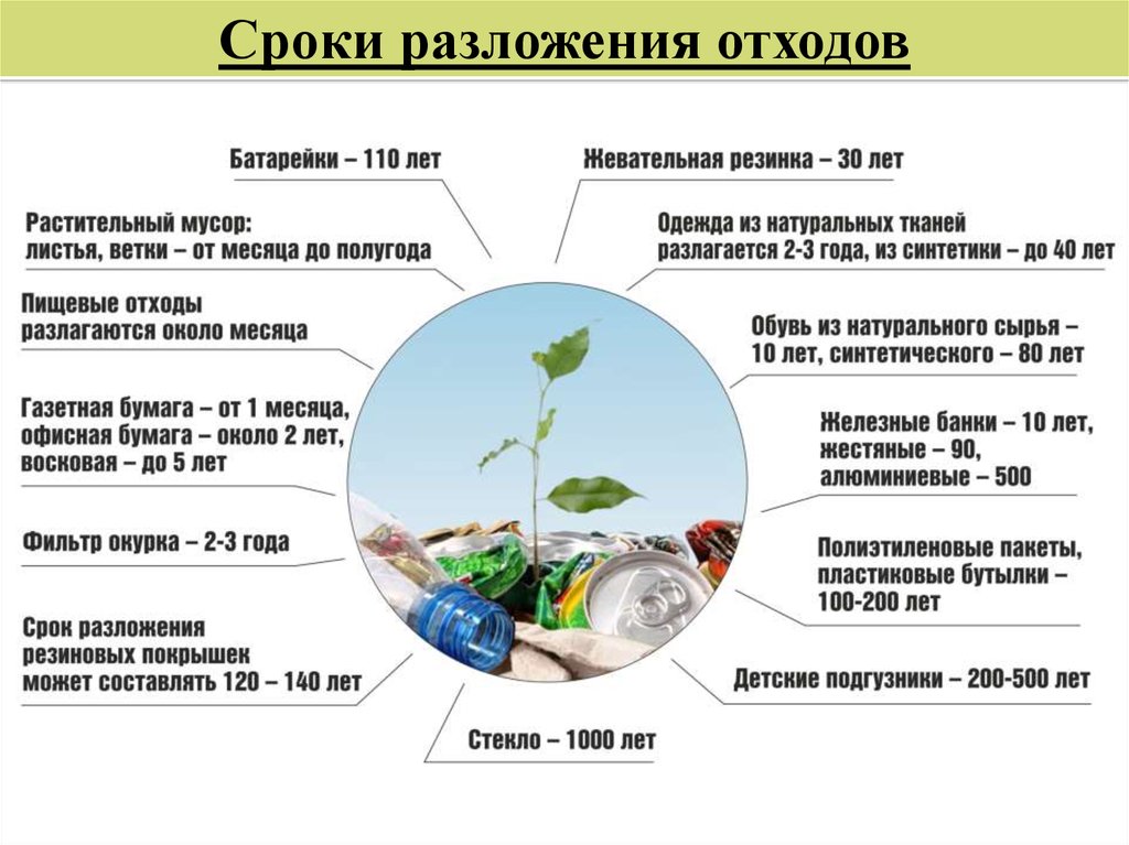 Влияние тбо на окружающую среду проект
