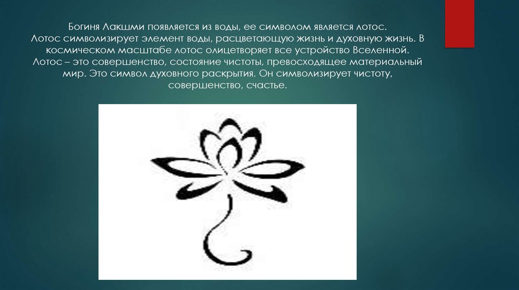 Символом чего является произведение. Лотос символ жизни. Цветок символ. Что символизирует Лотос. Лотос цветок значение символа.