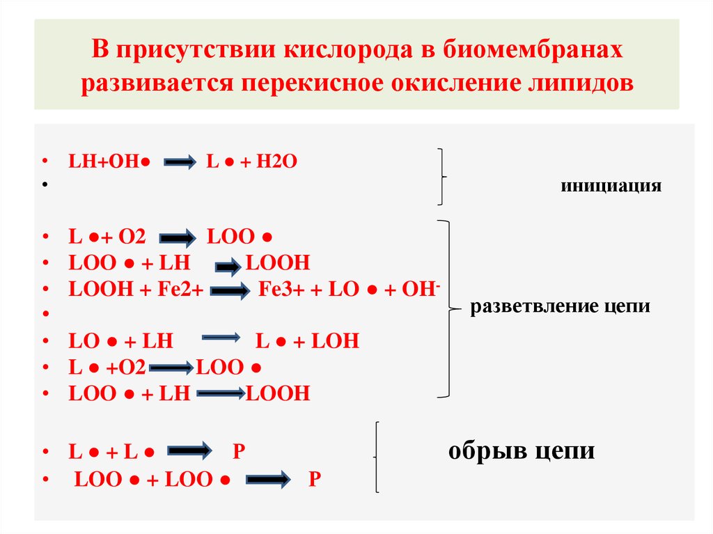 Процессы свободнорадикального окисления