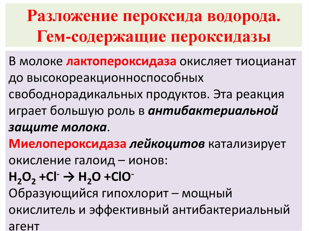 Пероксид водорода разложение. Лактопероксидаза. Пероксидаза катализирует реакцию. Реакция на пероксидазу мяса. Лактопероксидаза формула.