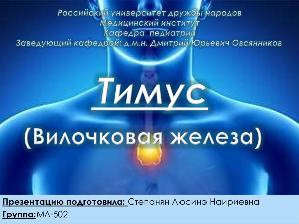 Какое заболевание развивается у человека при нарушении функции изображенной на рисунке железы