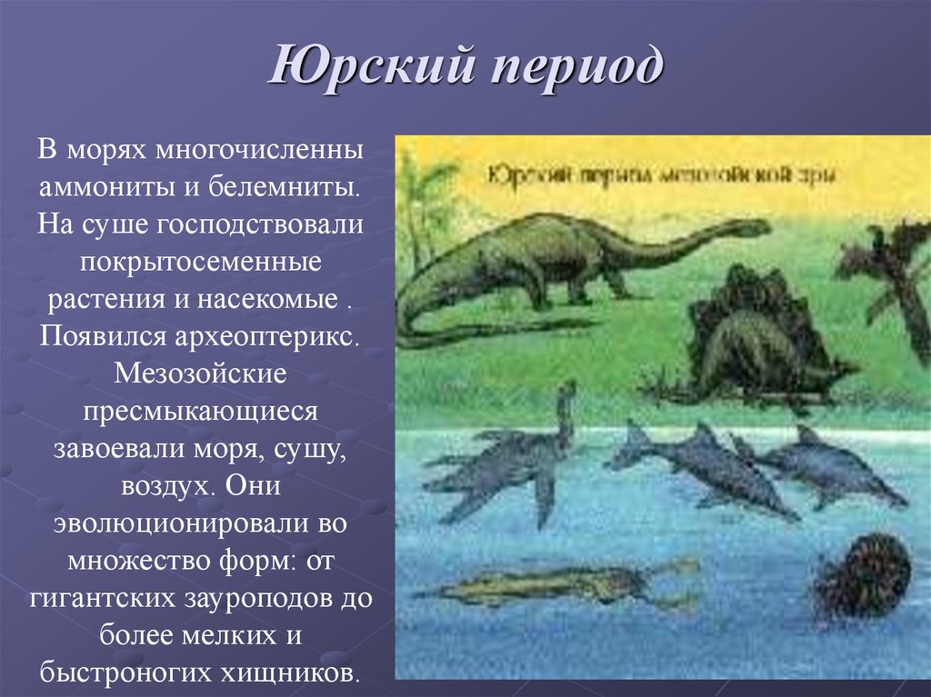 Юрский период биология 9 класс презентация