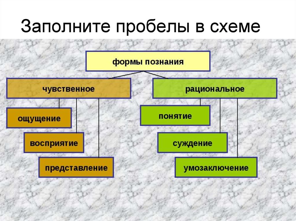 Заполните схемы восприятие объективное