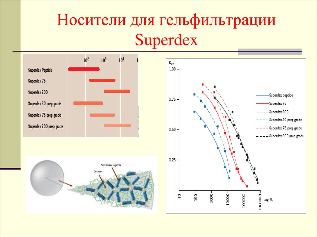 Носители для гельфильтрации Superdex