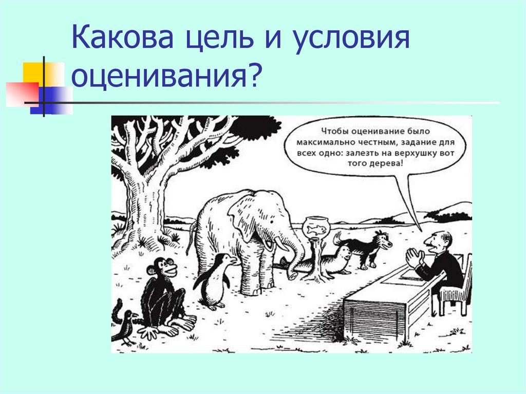 Покажите каковы. Задание для всех одно залезть на дерево. Чтобы оценивание было максимально честным. Чтобы оценивание было максимально честным задание для всех. Чтобы оценивание было максимально честным задание для всех одно.