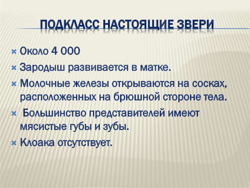 Презентация подкласс настоящие звери