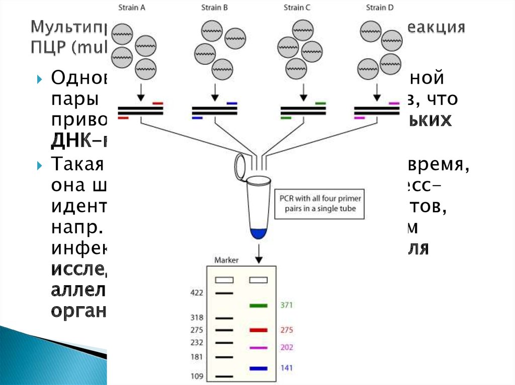 Hla 300 схема