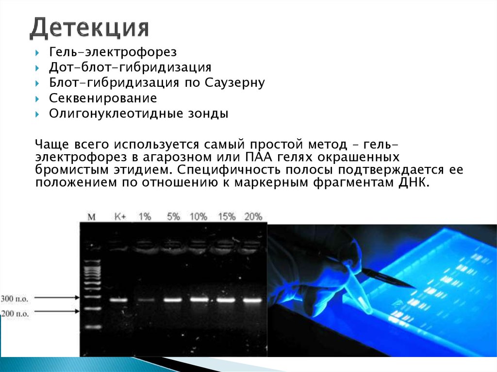 Детекция что это. Детекция. Детекция в агарозном геле. Детекция гель электрофорезом. Детекция изображений.