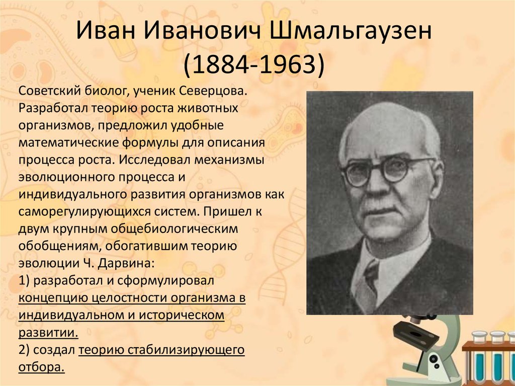 Известный ученый лев николаевич егэ. Иван Иванович Шмальгаузен (1884-1963). Иван Иванович Шмальгаузен вклад. Иван Иванович Шмальгаузен вклад в биологию. Иван Иванович Шмальгаузен Советский биолог.