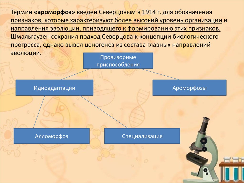 Тип приспособления. Схема Шмальгаузена. Ароморфоз термин. Ароморфоз (понятие и примеры). Шмальгаузен ароморфоз.