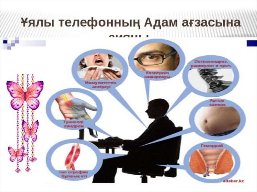 Адам геномы жобасы презентация