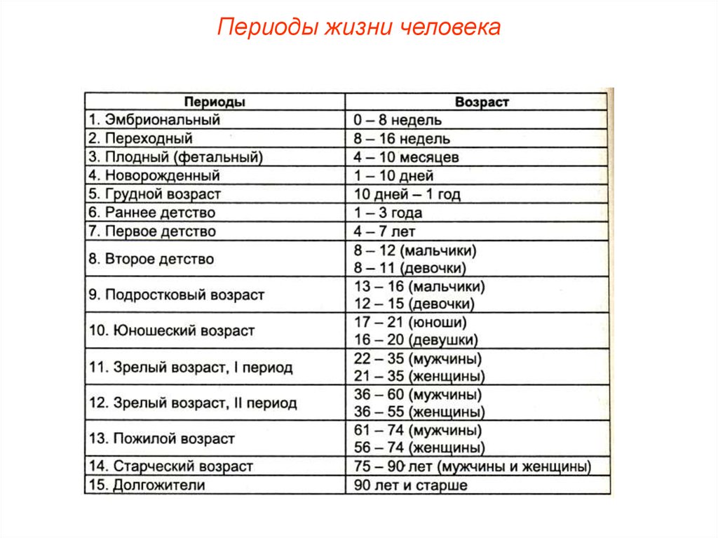 4 периода жизни. Возрастные периоды жизни человека. Периоды жизни человека таблица. Периоды жизни человека жизни. Периодизация человеческой жизни.