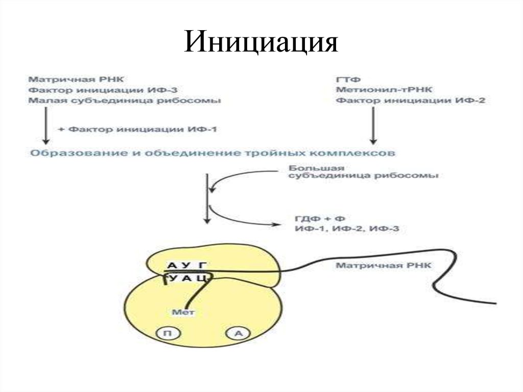 Инициация работ. Инициация. Инициация это в психологии. Виды инициации.