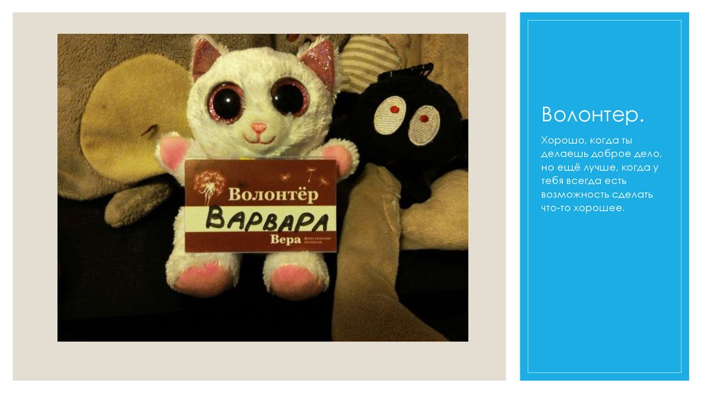 Волонтер.
