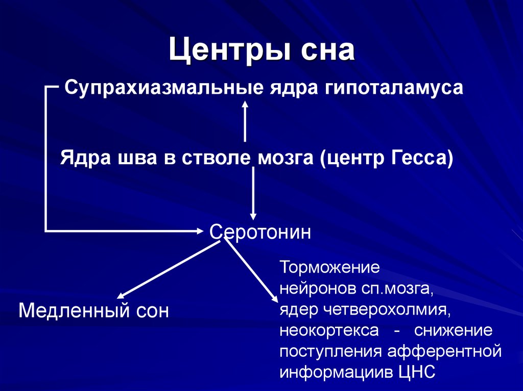 Центр сна. Гипоталамус центр сна. Центр Гесса сон. Центр сна в головном мозге.