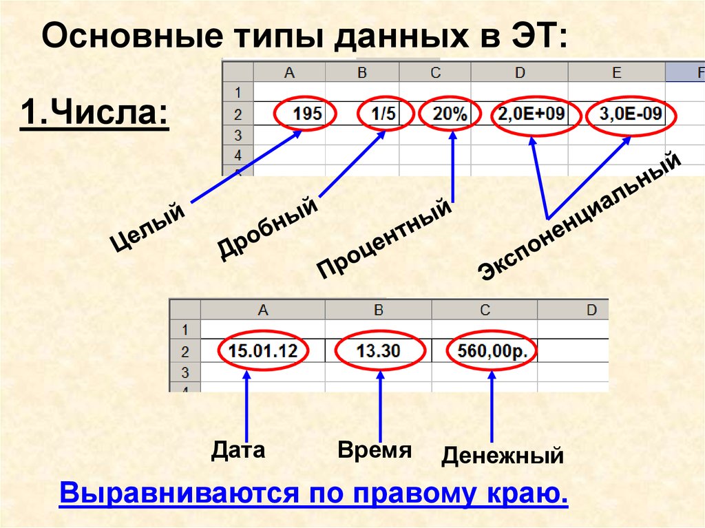 Виды данных электронных таблиц. Денежный Тип данных. Денежный Формат данных в электронных таблицах. Основные типы данных в эт. Тип данных число.