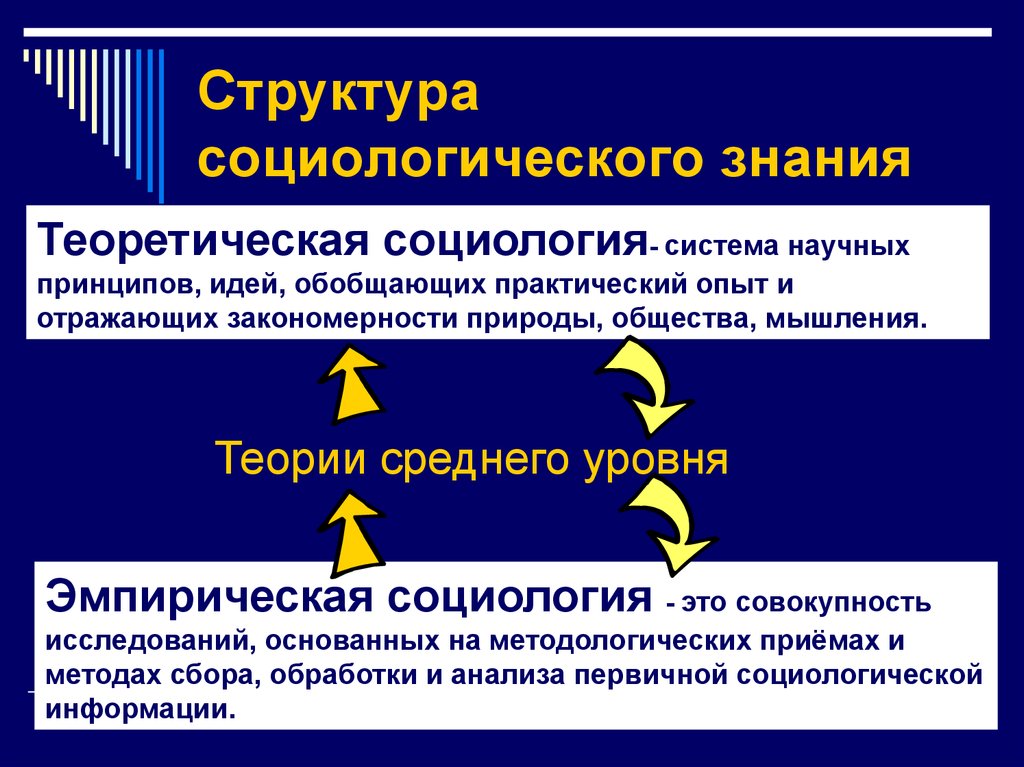 Структура знания. Структура социологического знания. Структура современного социологического знания. Основные элементы структуры социологического знания. Структура социологического познания.