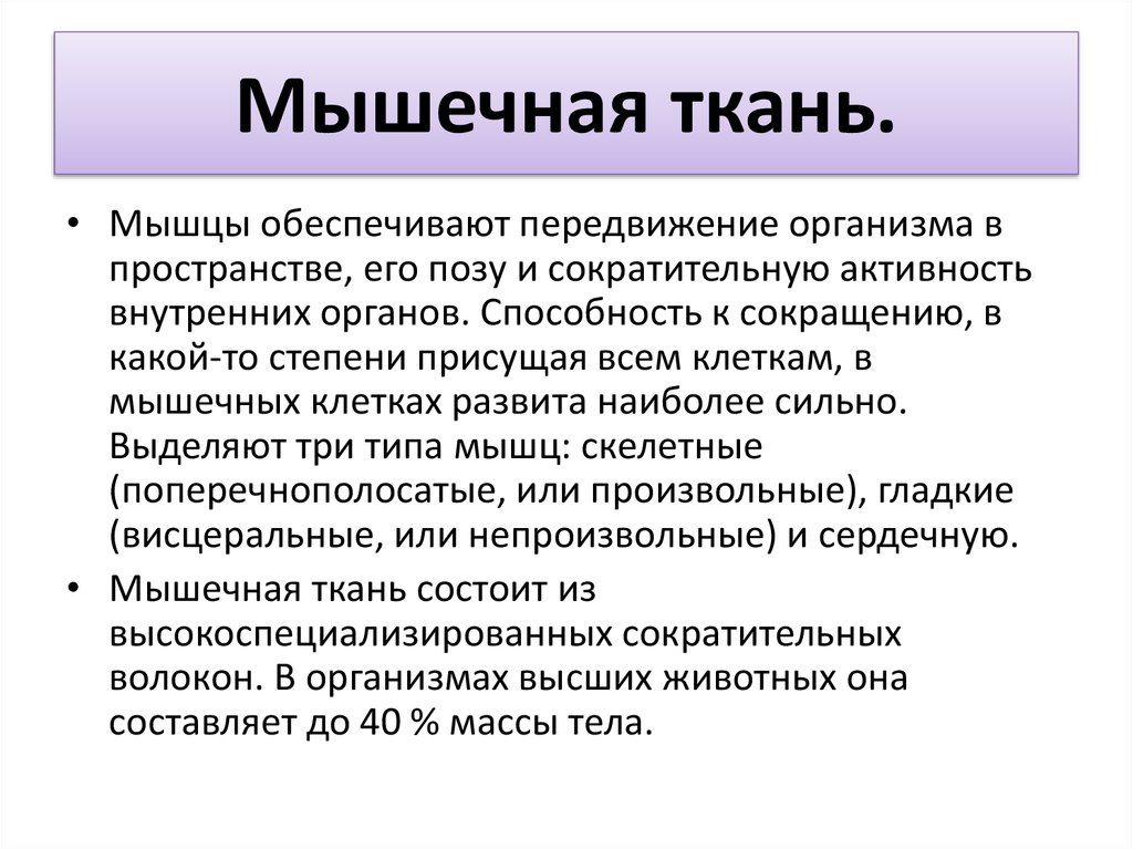 Вывод тканей. Мышечная ткань вывод. Вывод по мышечной ткани. Мышечная ткань заключение. Вывод о тканях человека.