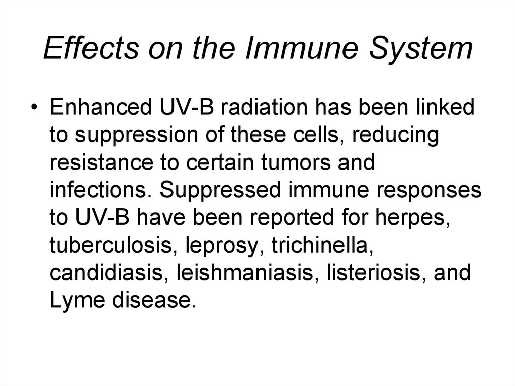 Effects on the Immune System