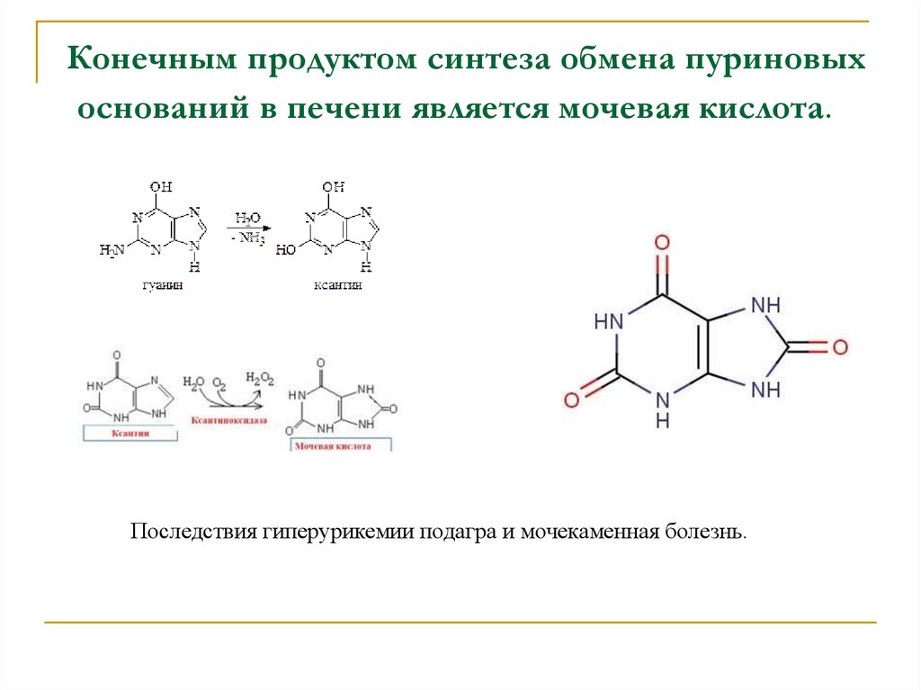 Напишите схему образования мочевой кислоты укажите названия всех ферментов