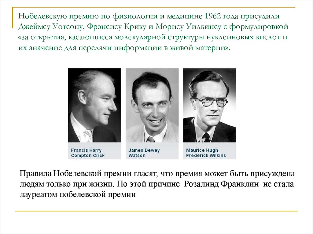 Нобелевские премии по медицине по годам. Дж Уотсон и ф крик получили Нобелевскую премию за. Нобелевский лауреат Фрэнсис крик открытие. Уотсон 1962 Нобелевская. В 1962 крик, Уотсон и Уилкинс.